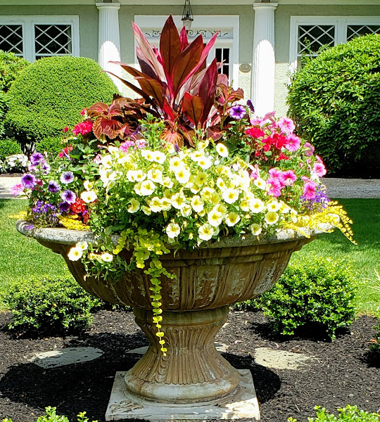 Custom annual plantings in a repurposed stone fountain